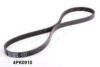 ASHIKA 112-4PK910 V-Ribbed Belts
